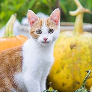 Meet your Posher, Jack